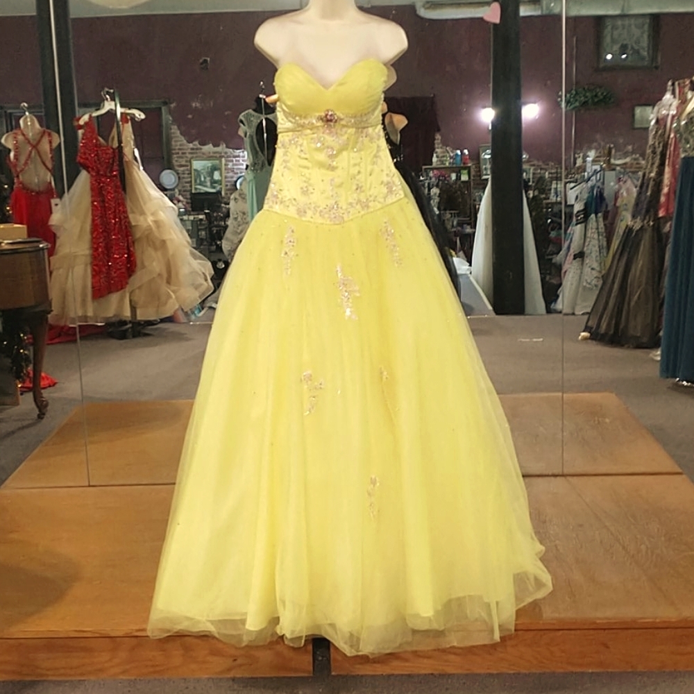 Posh Precious Ball Gown
